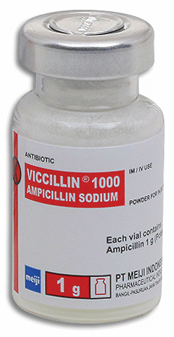 Viccillin Dosage & Drug Information | MIMS Indonesia