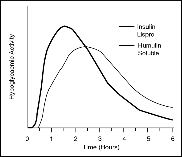 Humalog Mechanism of Action MIMS Malaysia
