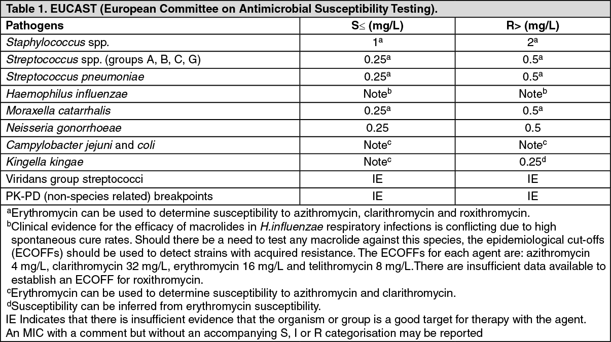 zenith antibiotics