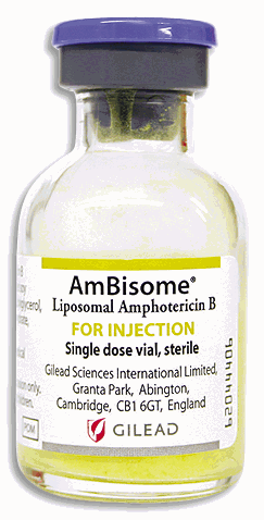 Image of AmBisome infusion 50 mg | MIMS Thailand